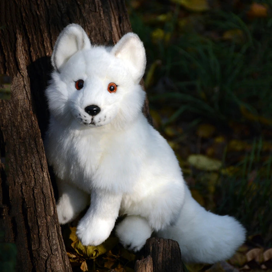 plush red fox and snow fox