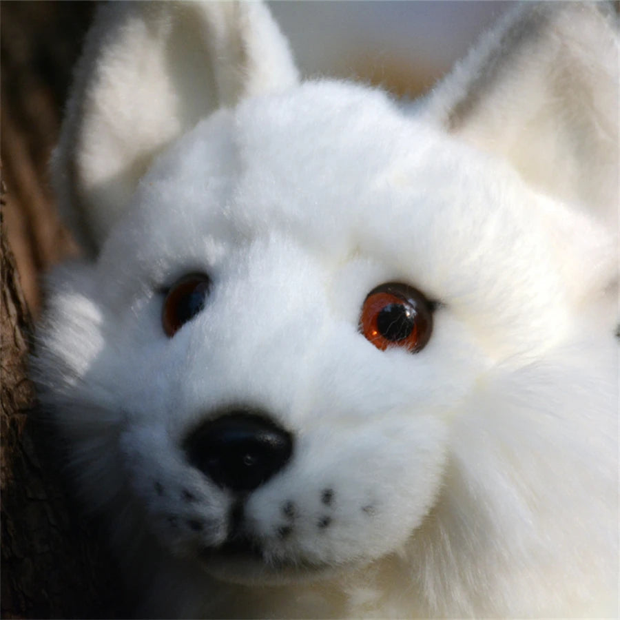 plush red fox and snow fox