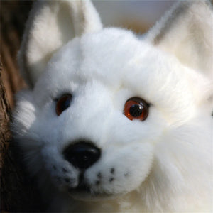 plush red fox and snow fox