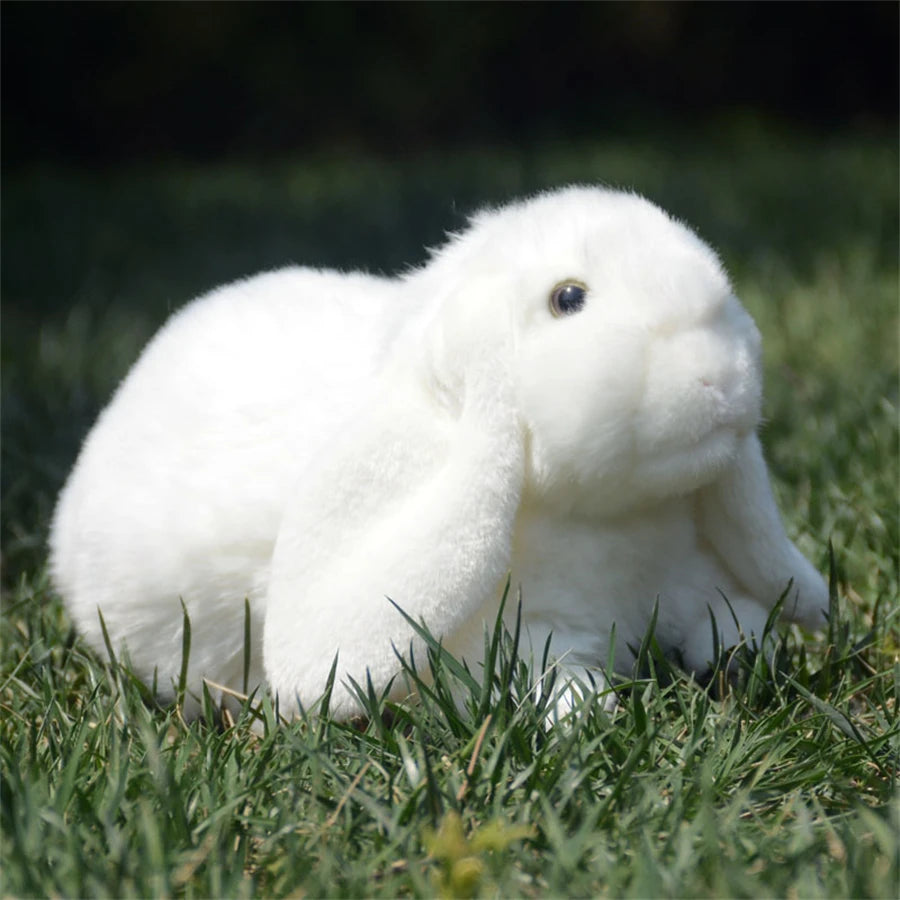 soft plush lop-eared bunny