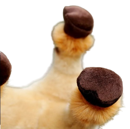 plush camel