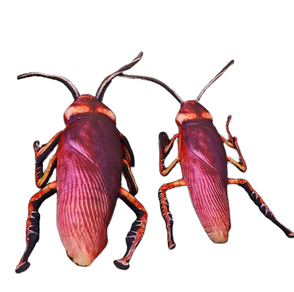 plush cockroach