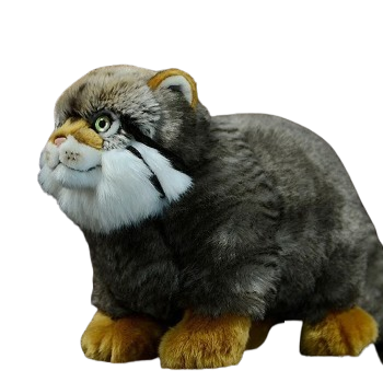 plush fluffy steppe cat