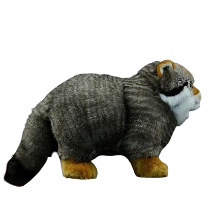 plush fluffy steppe cat