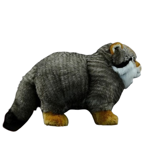 plush fluffy steppe cat