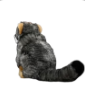 plush fluffy steppe cat