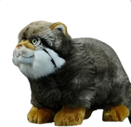 plush fluffy steppe cat