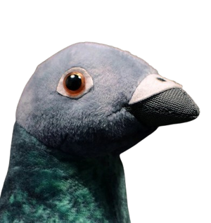 plush gray, blue and white pigeon