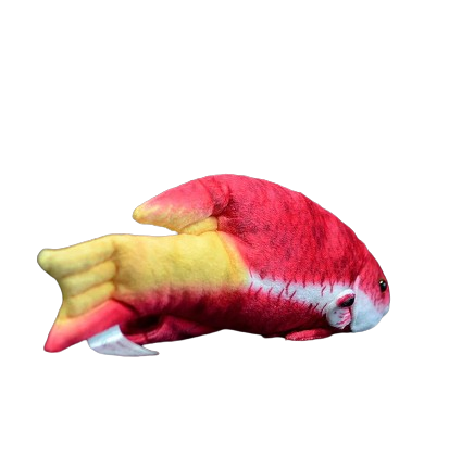 plush lifelike cuban hogfish