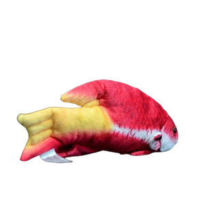 plush lifelike cuban hogfish