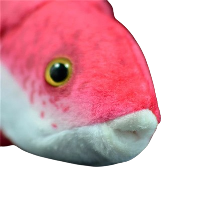 plush lifelike cuban hogfish