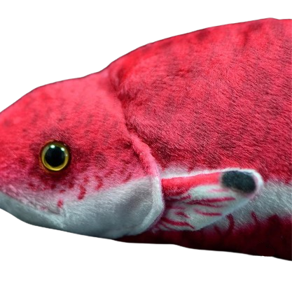 plush lifelike cuban hogfish