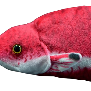 plush lifelike cuban hogfish