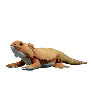 plush lifelike lguana lizard