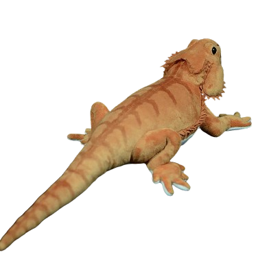 plush lifelike lguana lizard