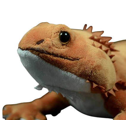 plush lifelike lguana lizard