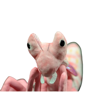 plush mantis