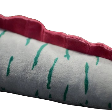 plush oarfish