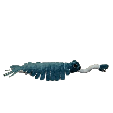 plush opabinia