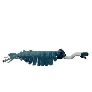 plush opabinia