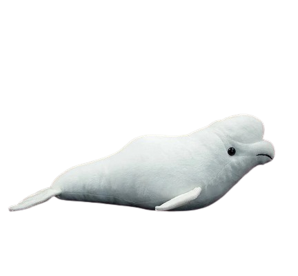 plush realistic beluga whale