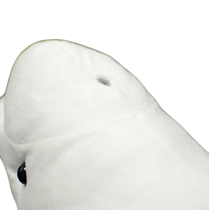 plush realistic beluga whale