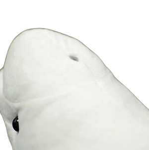 plush realistic beluga whale