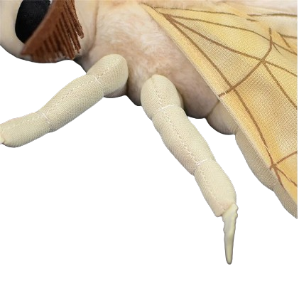 plush Silk Moth