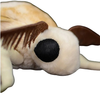 plush Silk Moth