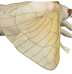 plush Silk Moth