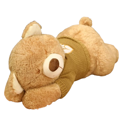 plush sleeping teddy bear