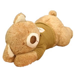 plush sleeping teddy bear