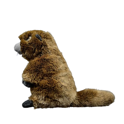 plush soft beaver