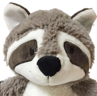 plush soft raccoon